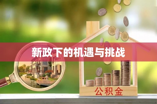 桐柏新政下的机遇与挑战