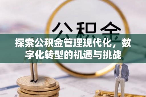 桐柏探索公积金管理现代化，数字化转型的机遇与挑战