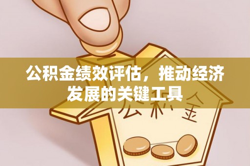 桐柏公积金绩效评估，推动经济发展的关键工具