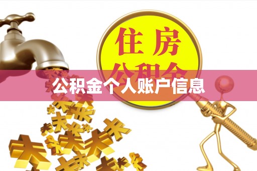 桐柏公积金个人账户信息