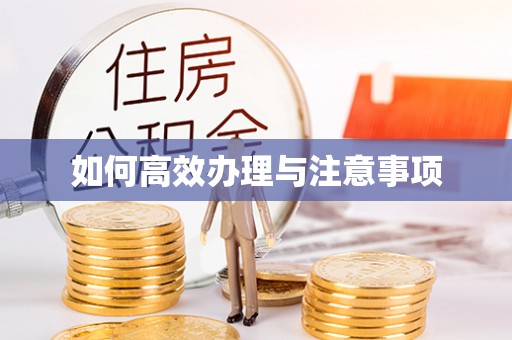 桐柏如何高效办理与注意事项