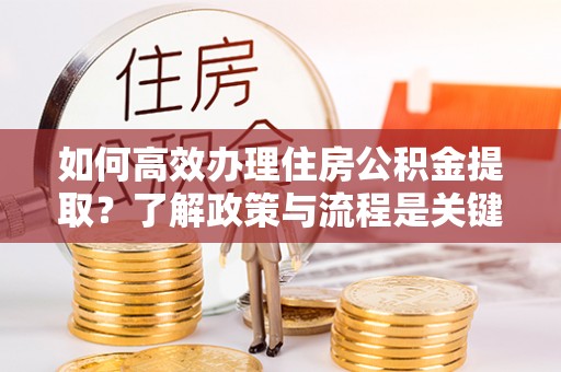 桐柏如何高效办理住房公积金提取？了解政策与流程是关键
