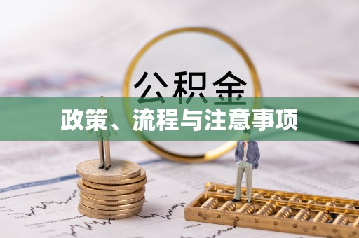 桐柏政策、流程与注意事项