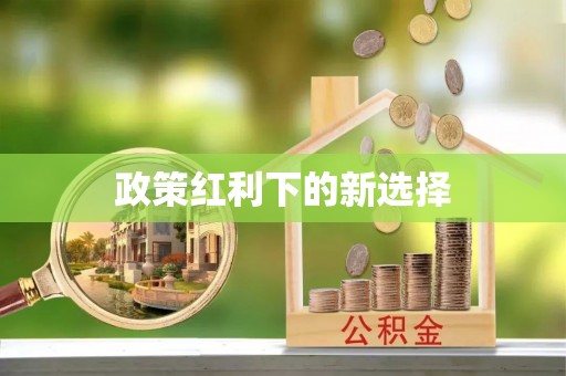 桐柏政策红利下的新选择