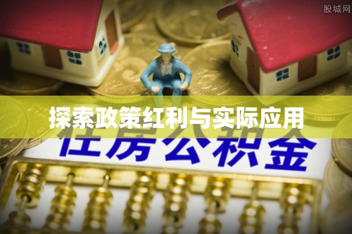 桐柏探索政策红利与实际应用