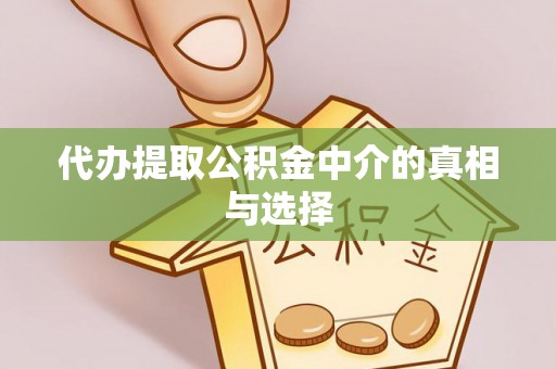 桐柏代办提取公积金中介的真相与选择