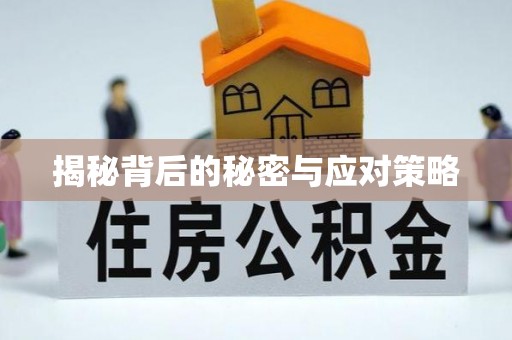桐柏揭秘背后的秘密与应对策略