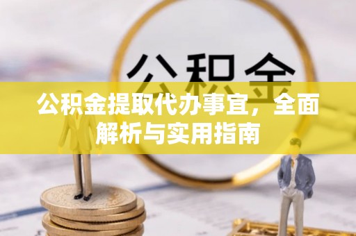 桐柏公积金提取代办事宜，全面解析与实用指南