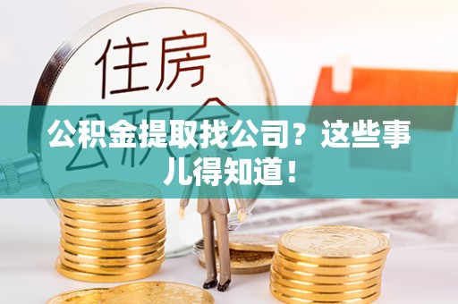 桐柏公积金提取找公司？这些事儿得知道！