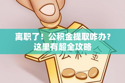 桐柏离职了！公积金提取咋办？这里有超全攻略