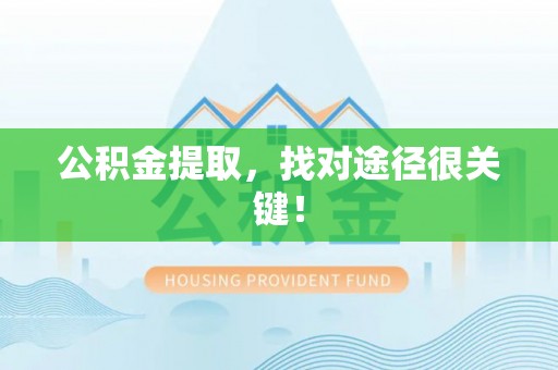 桐柏公积金提取，找对途径很关键！