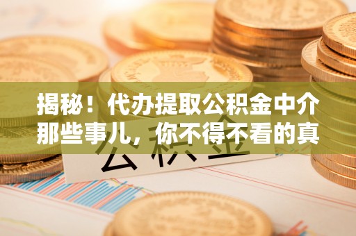 桐柏揭秘！代办提取公积金中介那些事儿，你不得不看的真相