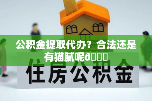 桐柏公积金提取代办？合法还是有猫腻呢😏