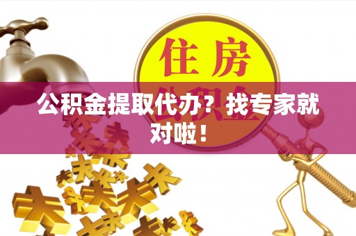 桐柏公积金提取代办？找专家就对啦！