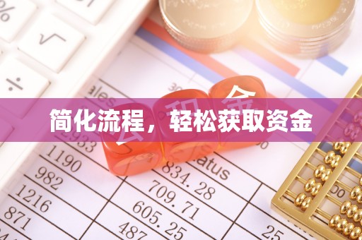 桐柏简化流程，轻松获取资金