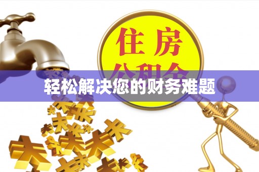 桐柏轻松解决您的财务难题