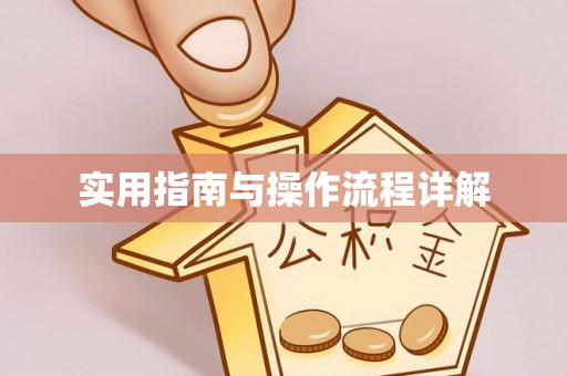 桐柏实用指南与操作流程详解
