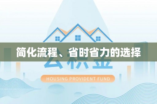 桐柏简化流程、省时省力的选择