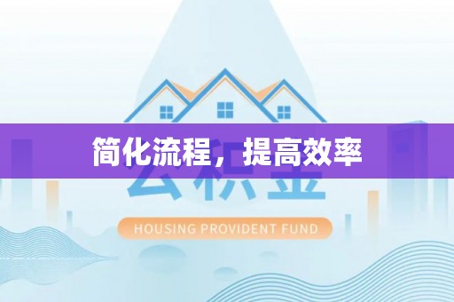 桐柏简化流程，提高效率