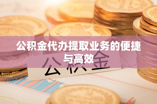 桐柏公积金代办提取业务的便捷与高效