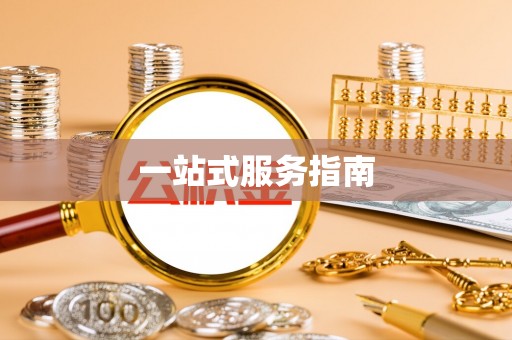 桐柏一站式服务指南