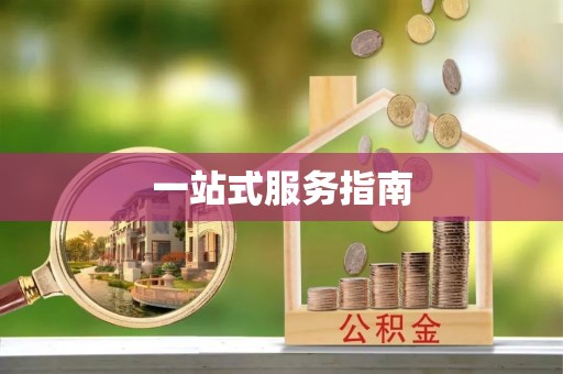 桐柏一站式服务指南