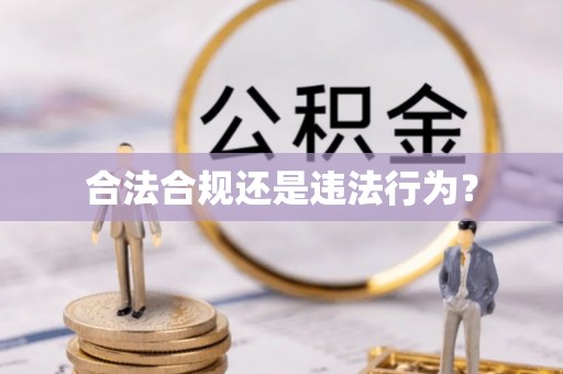 桐柏合法合规还是违法行为？