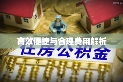 桐柏高效便捷与合理费用解析