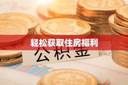 桐柏轻松获取住房福利