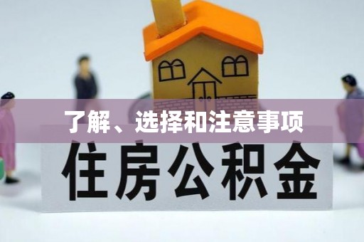 桐柏了解、选择和注意事项
