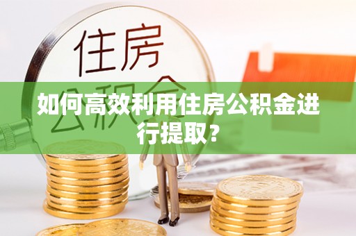 桐柏如何高效利用住房公积金进行提取？
