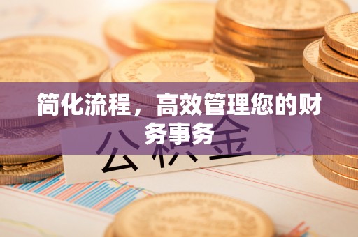 桐柏简化流程，高效管理您的财务事务