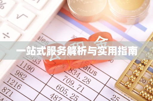 桐柏一站式服务解析与实用指南