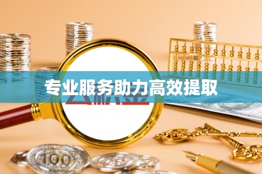 桐柏专业服务助力高效提取