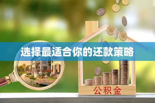 桐柏选择最适合你的还款策略