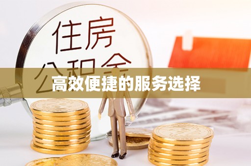 桐柏高效便捷的服务选择